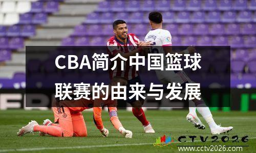 CBA简介中国篮球联赛的由来与发展