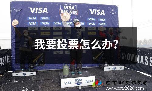 我要投票怎么办？