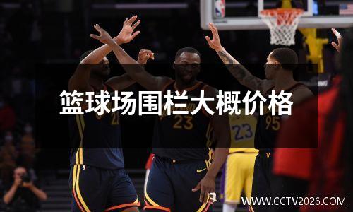 篮球场围栏大概价格