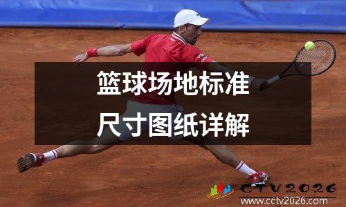 篮球场地标准尺寸图纸详解