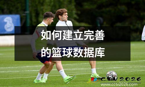 如何建立完善的篮球数据库