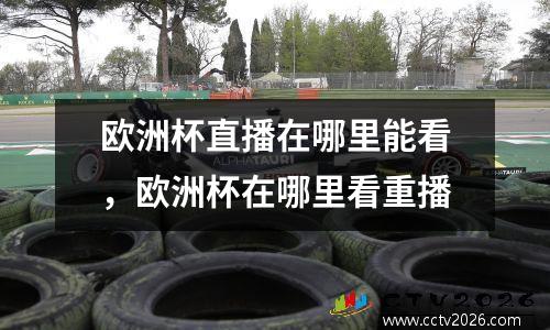 欧洲杯直播在哪里能看，欧洲杯在哪里看重播