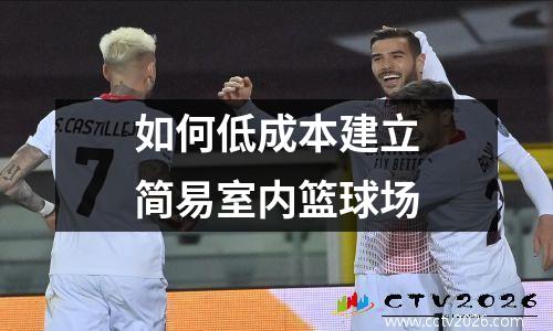 如何低成本建立简易室内篮球场