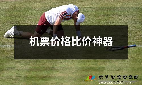 机票价格比价神器