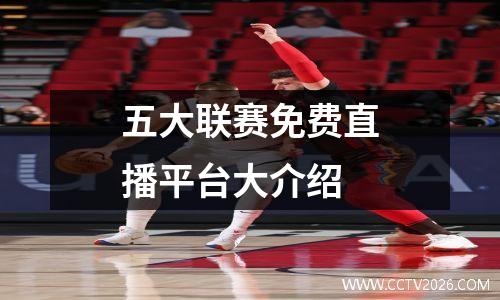 五大联赛免费直播平台大介绍
