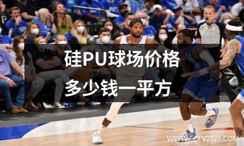 硅PU球场价格多少钱一平方