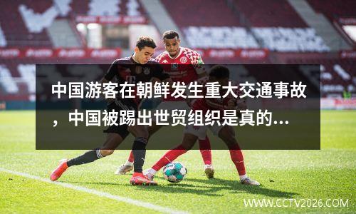 中国游客在朝鲜发生重大交通事故，中国被踢出世贸组织是真的吗