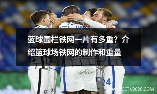 蓝球围栏铁网一片有多重？介绍篮球场铁网的制作和重量