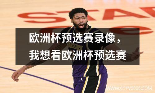 欧洲杯预选赛录像，我想看欧洲杯预选赛