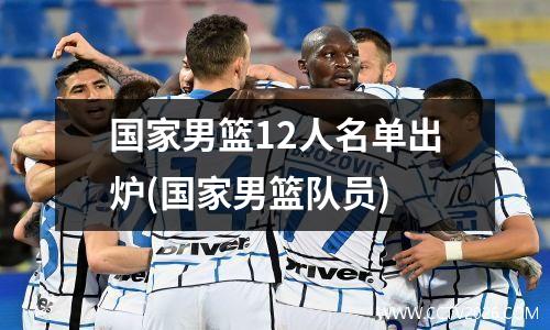 国家男篮12人名单出炉(国家男篮队员)