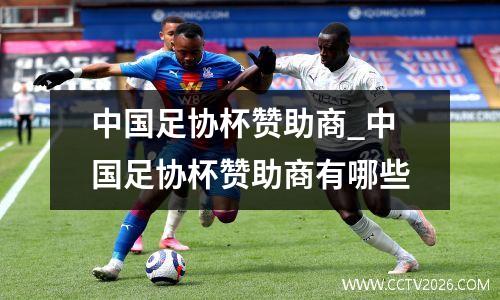 中国足协杯赞助商_中国足协杯赞助商有哪些