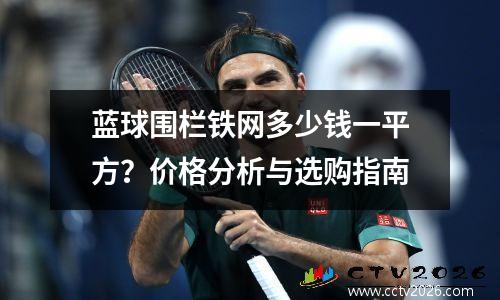 蓝球围栏铁网多少钱一平方？价格分析与选购指南