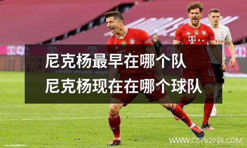 尼克杨最早在哪个队 尼克杨现在在哪个球队