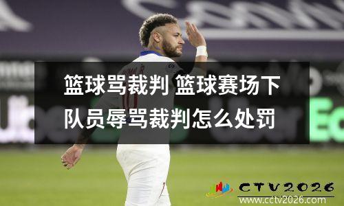 篮球骂裁判 篮球赛场下队员辱骂裁判怎么处罚