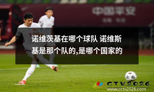 诺维茨基在哪个球队 诺维斯基是那个队的,是哪个国家的
