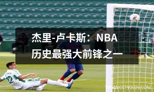 杰里-卢卡斯：NBA历史最强大前锋之一