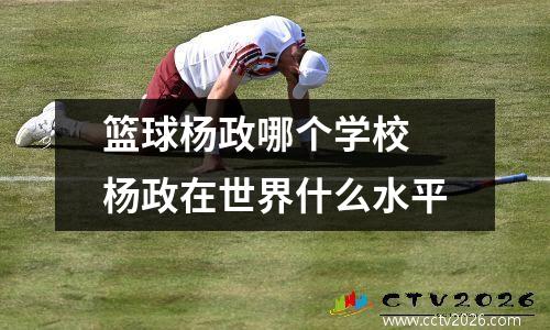 篮球杨政哪个学校 杨政在世界什么水平