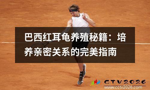 巴西红耳龟养殖秘籍：培养亲密关系的完美指南