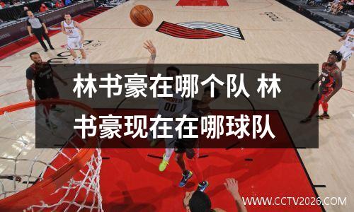 林书豪在哪个队 林书豪现在在哪球队