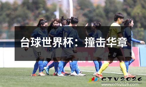 台球世界杯：撞击华章