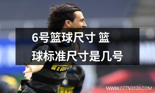6号篮球尺寸 篮球标准尺寸是几号