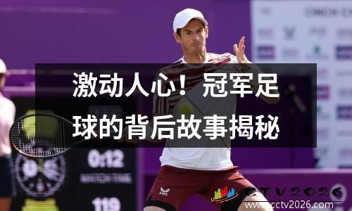 激动人心！冠军足球的背后故事揭秘
