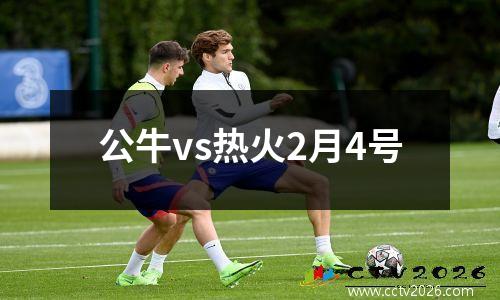 公牛vs热火2月4号