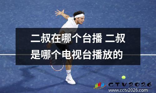 二叔在哪个台播 二叔是哪个电视台播放的