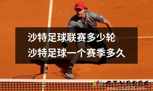 沙特足球联赛多少轮 沙特足球一个赛季多久