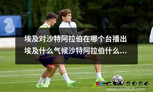 埃及对沙特阿拉伯在哪个台播出 埃及什么气候沙特阿拉伯什么气候
