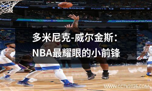 多米尼克-威尔金斯：NBA最耀眼的小前锋