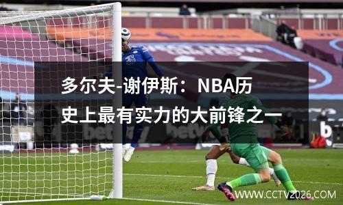 多尔夫-谢伊斯：NBA历史上最有实力的大前锋之一