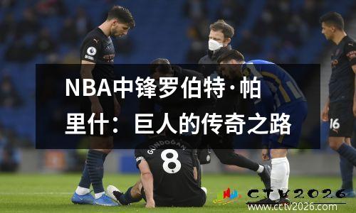 NBA中锋罗伯特·帕里什：巨人的传奇之路