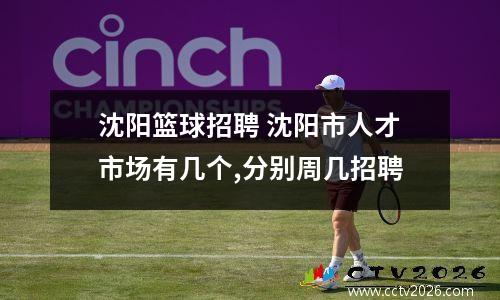 沈阳篮球招聘 沈阳市人才市场有几个,分别周几招聘