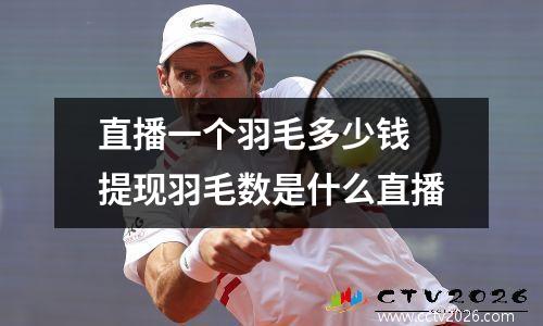 直播一个羽毛多少钱 提现羽毛数是什么直播