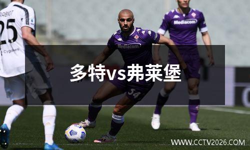 多特vs弗莱堡