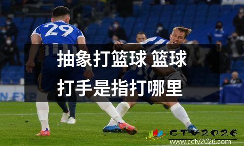 抽象打篮球 篮球打手是指打哪里