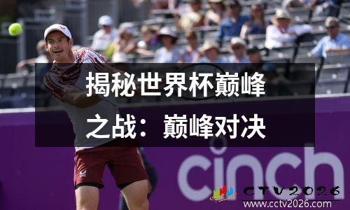 揭秘世界杯巅峰之战：巅峰对决