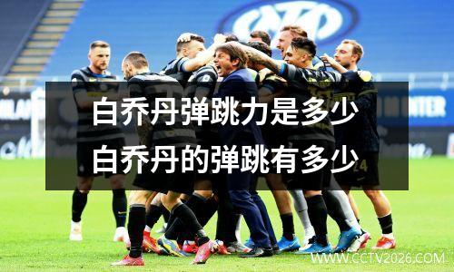 白乔丹弹跳力是多少 白乔丹的弹跳有多少