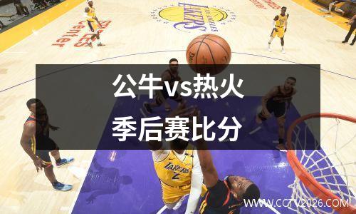 公牛vs热火季后赛比分
