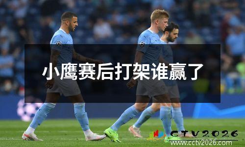 小鹰赛后打架谁赢了