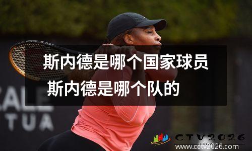 斯内德是哪个国家球员 斯内德是哪个队的
