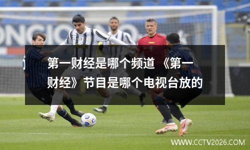 第一财经是哪个频道 《第一财经》节目是哪个电视台放的