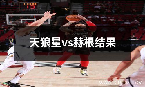 天狼星vs赫根结果