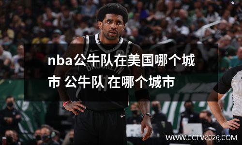 nba公牛队在美国哪个城市 公牛队 在哪个城市