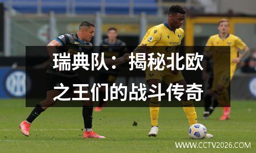瑞典队：揭秘北欧之王们的战斗传奇
