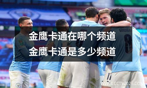 金鹰卡通在哪个频道 金鹰卡通是多少频道