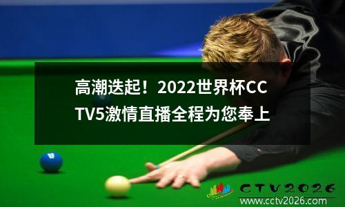 高潮迭起！2022世界杯CCTV5激情直播全程为您奉上