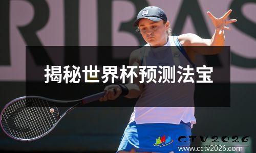 揭秘世界杯预测法宝