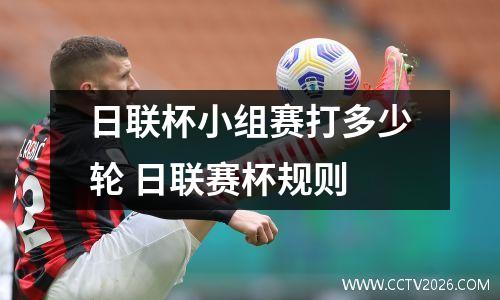 日联杯小组赛打多少轮 日联赛杯规则